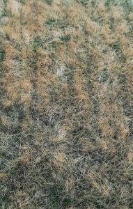 Bear`s Scale Modeling 400105 Wild Thickets Mat 25x18 cm (1 pcs)