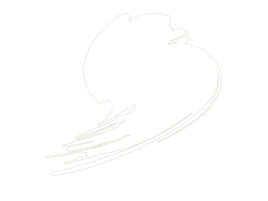 Hataka B101 Traffic White (RAL 9016) 10ml