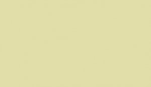 Lifecolor UA816 - Rail Grey 22ml