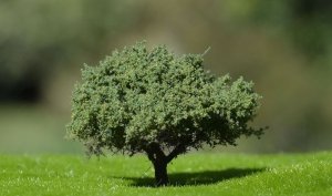 FREON KRZ Shrubs - Krzewy 4/8cm (1 pcs)