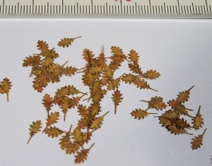 Model Scene L3-206 Northern Red Oak - dry leaves 1/32, 1/35
