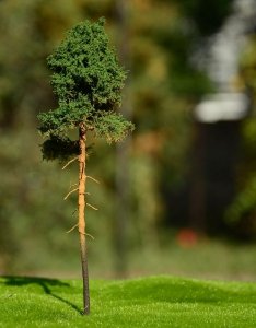 FREON SOM4 Young pine - Sosna młoda 25/28cm