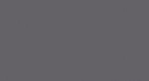 Lifecolor UA830 - Railfreight Grey 22ml
