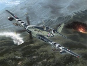 Special Hobby 48136 Fairey Firefly Mk.4/5 Korean War (1:48)