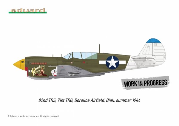 Eduard R0025 P-40N WARHAWK ROYAL CLASS DUAL COMBO 1/48