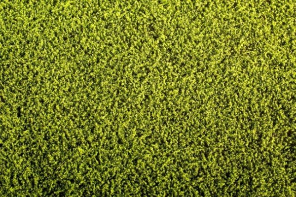 Model Scene F440 Grass Mat - Alfalfa 1/35