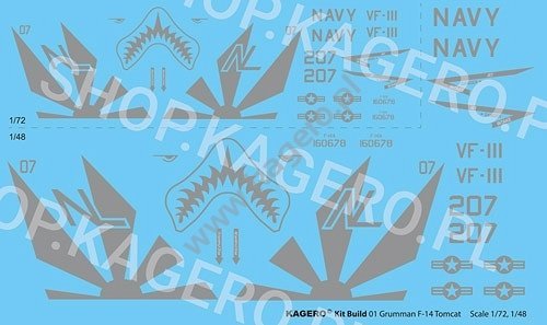 Kagero 41001 Grumman F-14 TOMCAT EN/PL