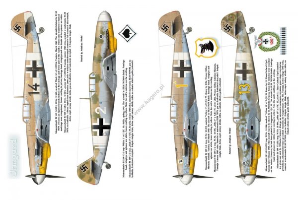 Kagero 12010 Luftwaffe over Tunisia vol. II February – May 1943 EN