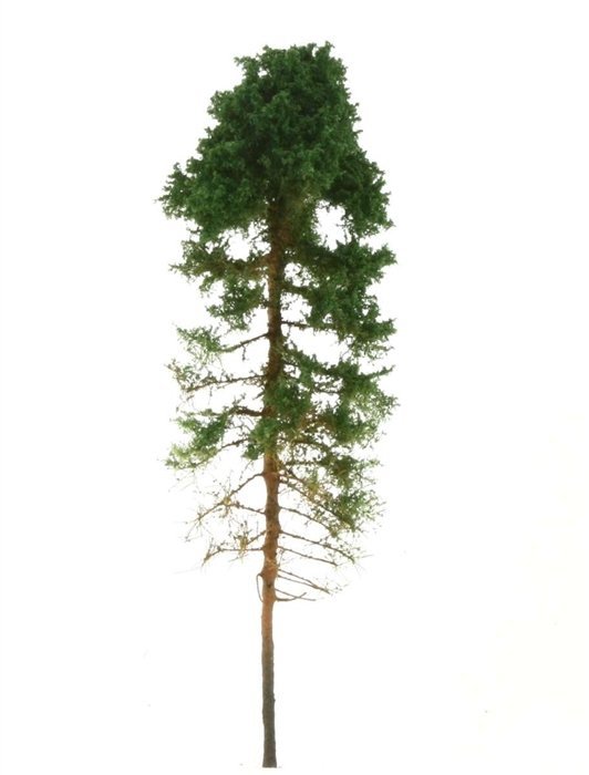 Freon SOB2 Pine Tree - Sosna obrzeżna, wysokość 14/16cm