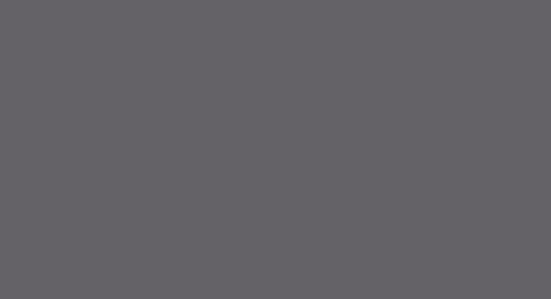 Lifecolor UA830 - Railfreight Grey 22ml