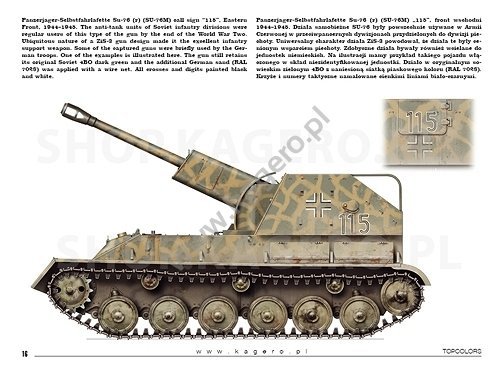 Kagero 15041 Beutepanzer (kalkomania/decals) PL/EN