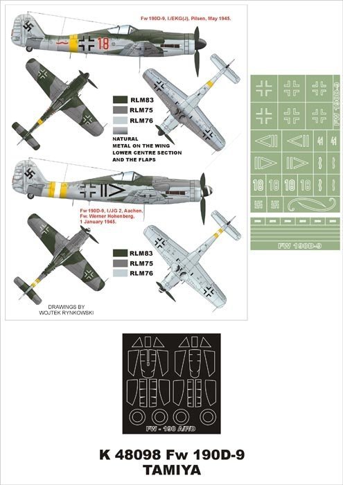 Montex K48098 Fw 190D-9 1/48