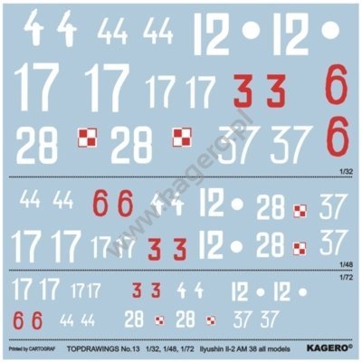 Kagero 7013 Ilyushin Il-2 AM-38 all models EN/PL
