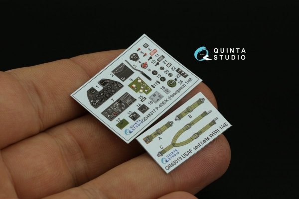Quinta Studio QD48317 P-40E/K 3D-Printed &amp; coloured Interior on decal paper (Hasegawa) 1/48