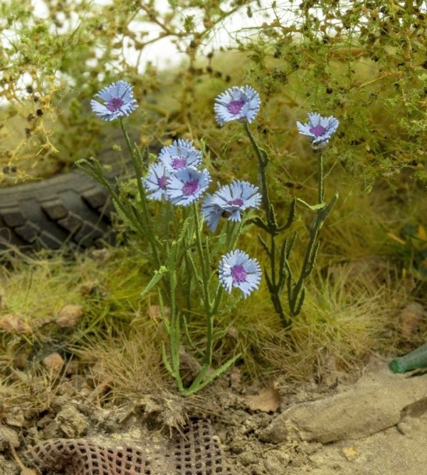 Model Scene VG3-044 Cornflower 1/32 1/35