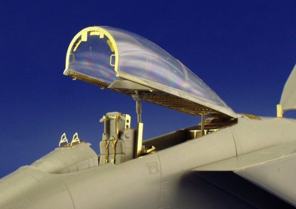 Eduard 49221 F-14D 1/48 Hasegawa