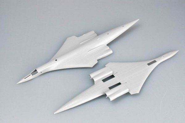Trumpeter 03906 Tu-160 BlackJack (1:144)