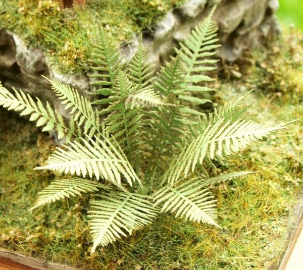 Model Scene VG3-001 Fern 1/35