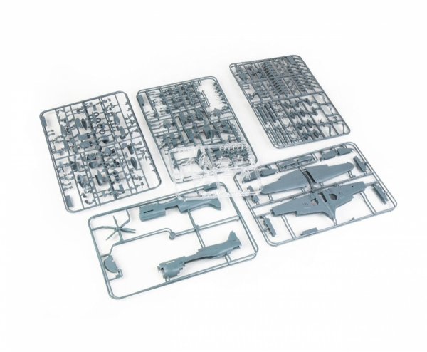 Eduard R0024 Curtiss P-40 K Warhawk - Dual Combo / The Royal Class 1/48