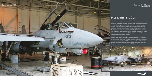 HMH Publications DH-037 Grumman F-14 Tomcat - Aircraft in Detail 037 (English Version)