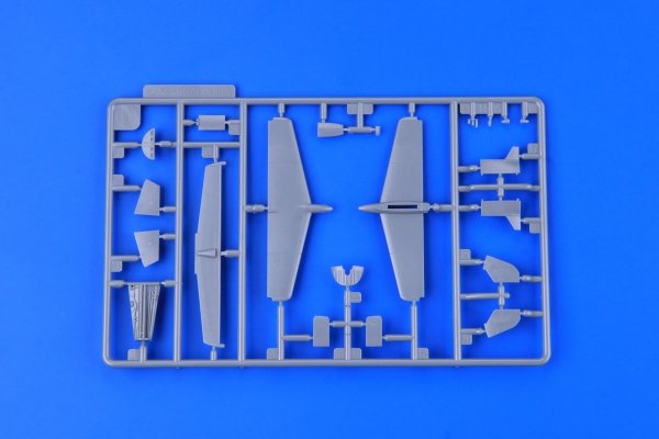 Eduard 8099 L-29 Delfin 1/48