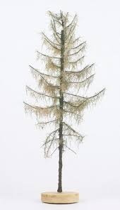 FREON MSU1 Larch - Modrzew pień wysoki suchy 18/22cm