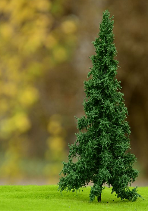 FREON SWI3 Norway spruce - Świerk Pospolity pień niski (pełny) 8/12cm