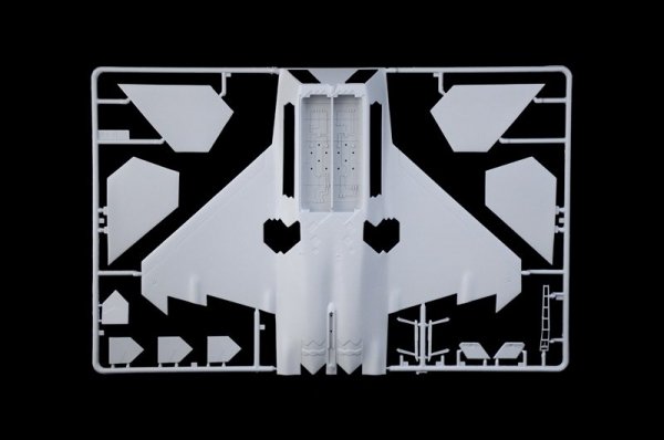 Italeri 2822 F-22 A Raptor 1/48