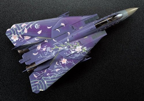Hasegawa SP291 F-14D Tomcat Ace Combat Sakura 1/48