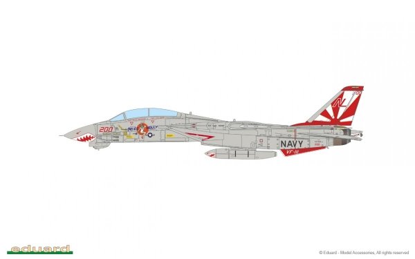 Eduard D48105 F-14A TAMIYA 1/48