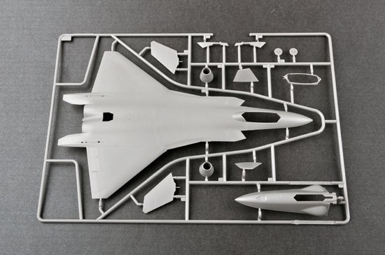 Trumpeter 01665 Chinese J-20 Mighty Dragon 1/72