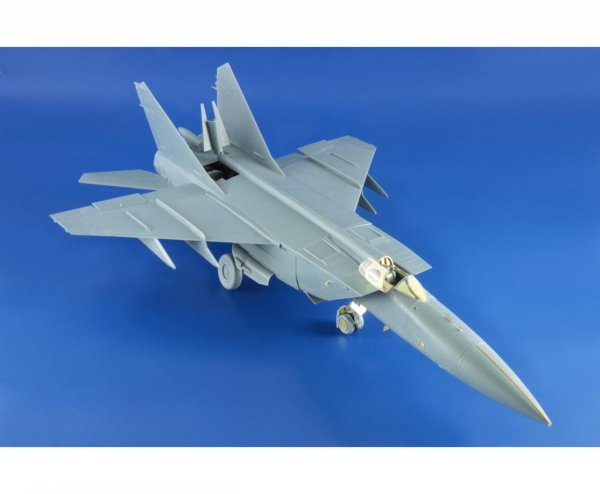 Eduard 48797 MiG-25PD/ PDS Foxbat exterior KITTY HAWK 1/48