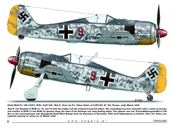 Kagero 15035 Fw 190s over Europe Part I (kalkomania/decals) EN/PL