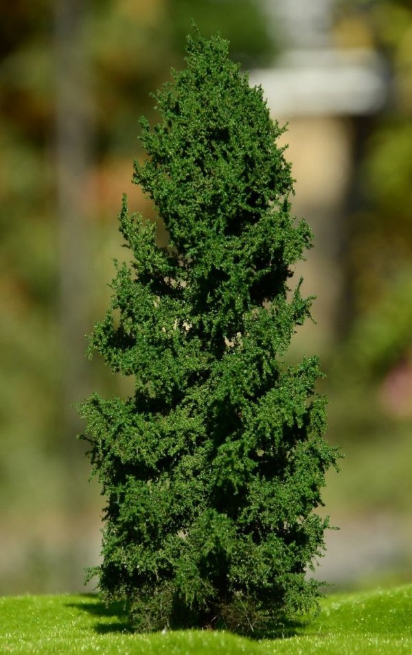FREON MPN1 Larch - Modrzew pień niski (Pełny) 18/20cm