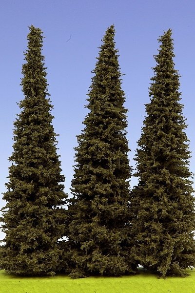Model Scene SM200 Spruce 200 mm Świerk ( 3pcs ) 