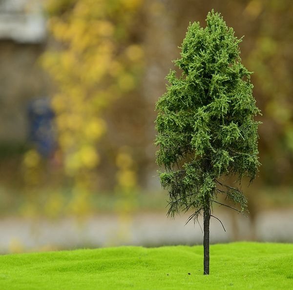 FREON MPW2 Larch - Modrzew pień wysoki 14/16cm