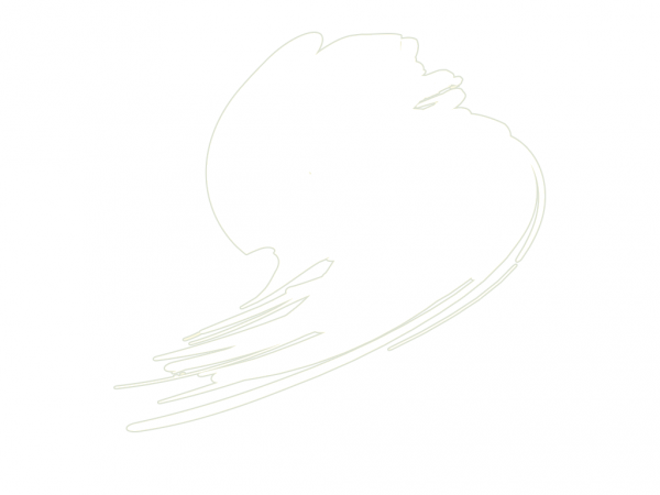 Hataka B101 Traffic White (RAL 9016) 10ml