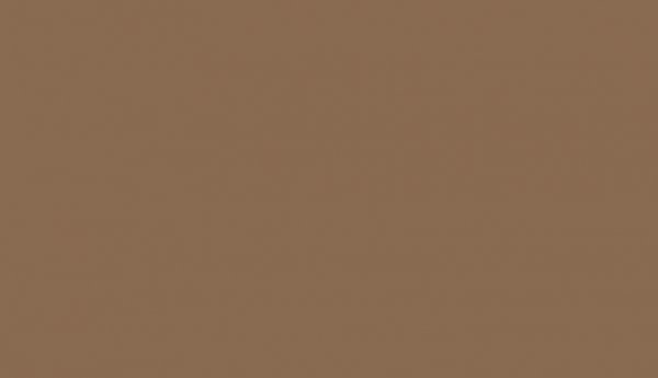 Lifecolor UA473 - Dark Brown 22ml