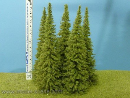 Model Scene MO200 Larch 180-220 mm (3x)