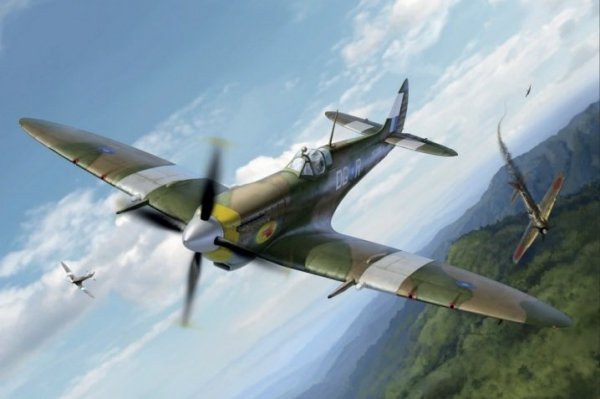 Eduard 8284 Spitfire Mk.VIII ProfiPACK 1/48