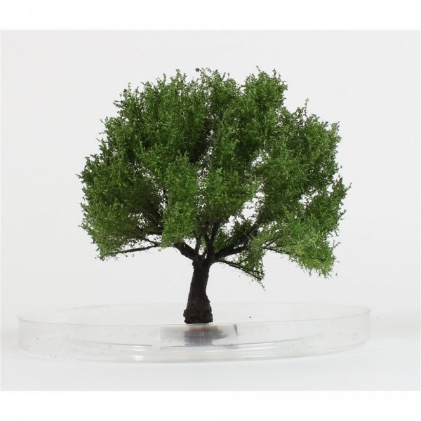 FREON DO1 Olive tree - Drzewo Oliwne 6/8cm