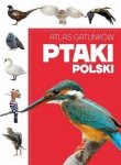 Atlas gatunków Ptaki Polski