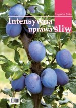 Intensywna uprawa śliw