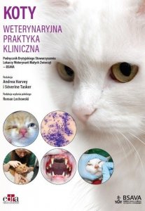 Koty Weterynaryjna praktyka kliniczna