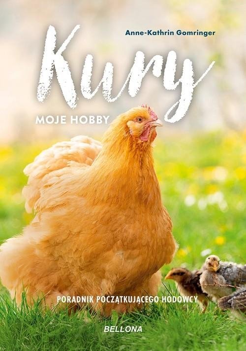 Kury moje hobby Poradnik początkującego hodowcy