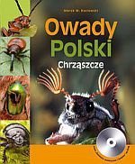 Owady Polski Chrząszcze