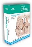 Anatomia Sobotta Flashcards Neuroanatomia Angielskie mianownictwo anatomiczne