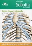 Anatomia Sobotta Flashcards Kości stawy i więzadła Łacińskie mianownictwo anatomiczne