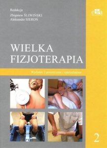 Wielka fizjoterapia Tom 2