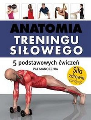 Anatomia treningu siłowego 5 podstawowych ćwiczeń